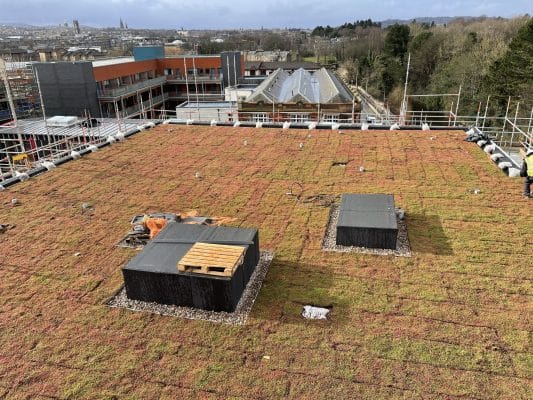 MOY Extensive Green Roof System on Canonmills Project